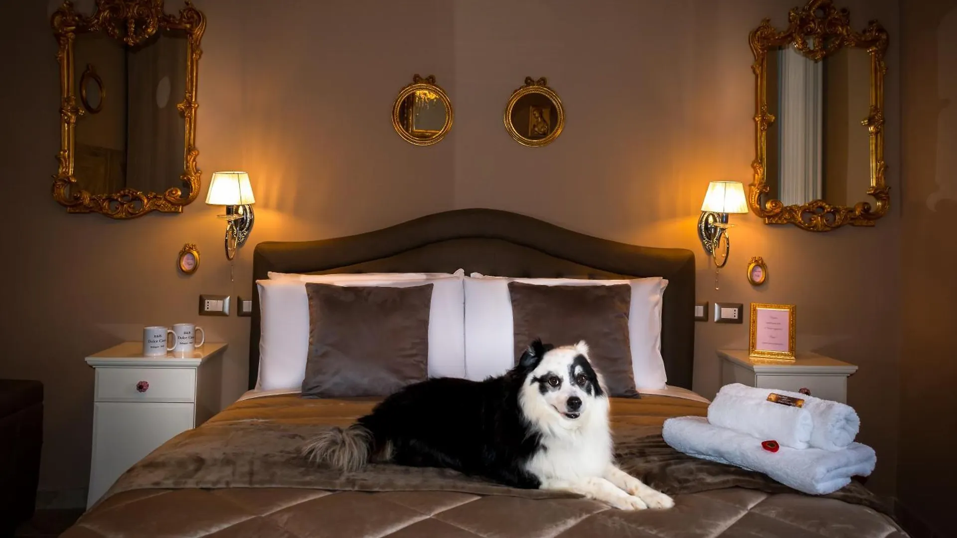 شقة Dolce Casa Only Adults B&B سان لاتْسارو دي سافين
